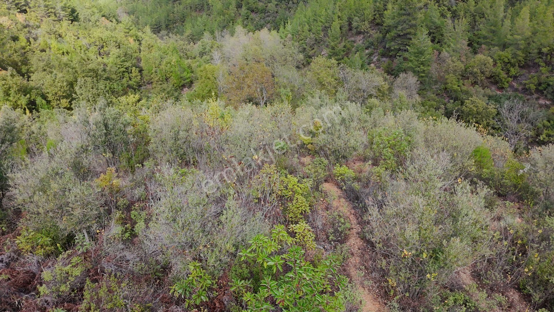 Göçük'te Satılık 2 Dönüm Tarla Akarsu Yanı - Görsel 6