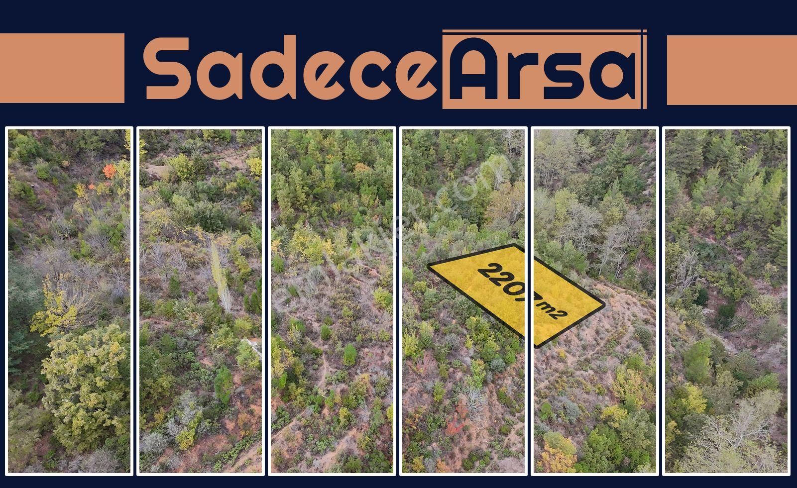 Göçük'te Satılık 2 Dönüm Tarla Akarsu Yanı