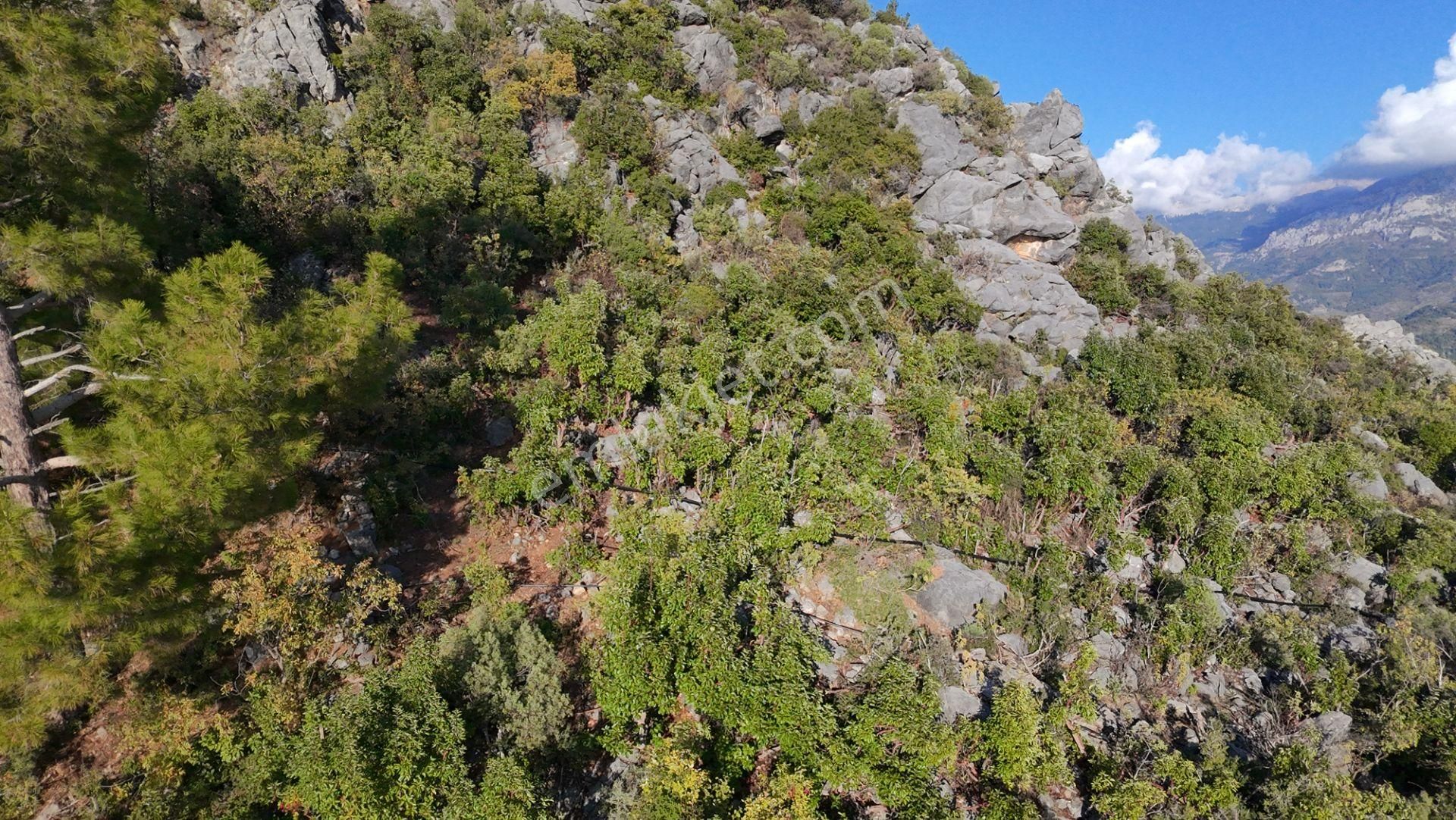 Karatepe'de 3 Ev İmarlı Arsa - Görsel 7