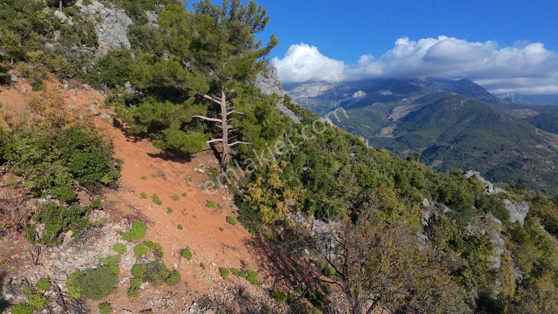 Karatepe'de 3 Ev İmarlı Arsa - Görsel 5