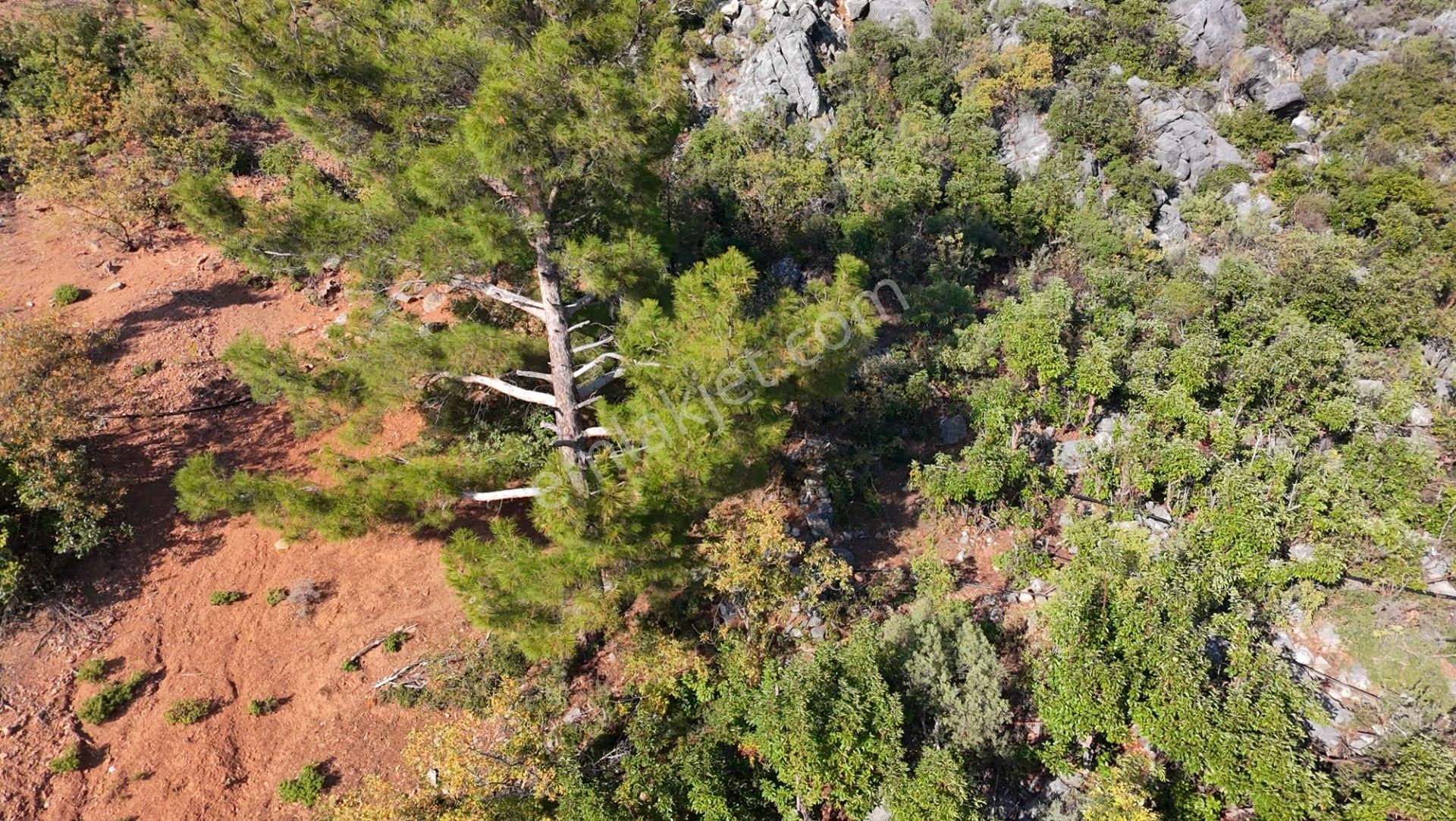 Karatepe'de 3 Ev İmarlı Arsa - Görsel 9