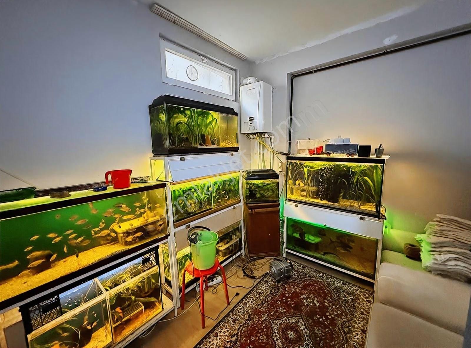 Etimesgut/bağlıca Satılık Daire, Yatırımlık, 2+1 - Görsel 7