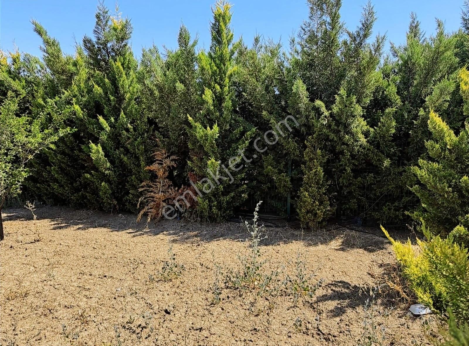 Temelli Olukpınarda Eşyalı Satılık Bahçe Evi - Görsel 15