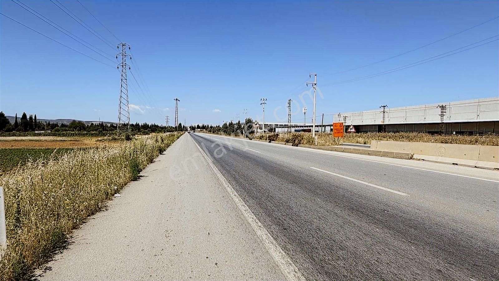 İzmir Torbalı Asfaltına Cephe Tek Tapu Kısmı Takas Tarla - Görsel 16