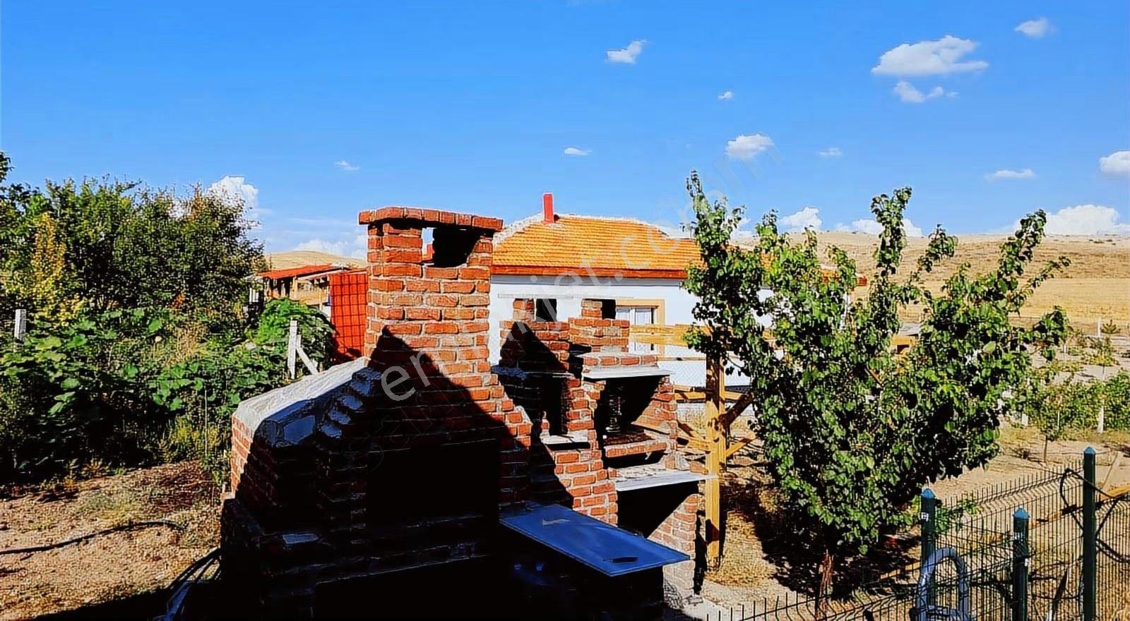 Polatlı Çimenceğiz'de Yola Cephe Hobi Bahçesi - Görsel 9