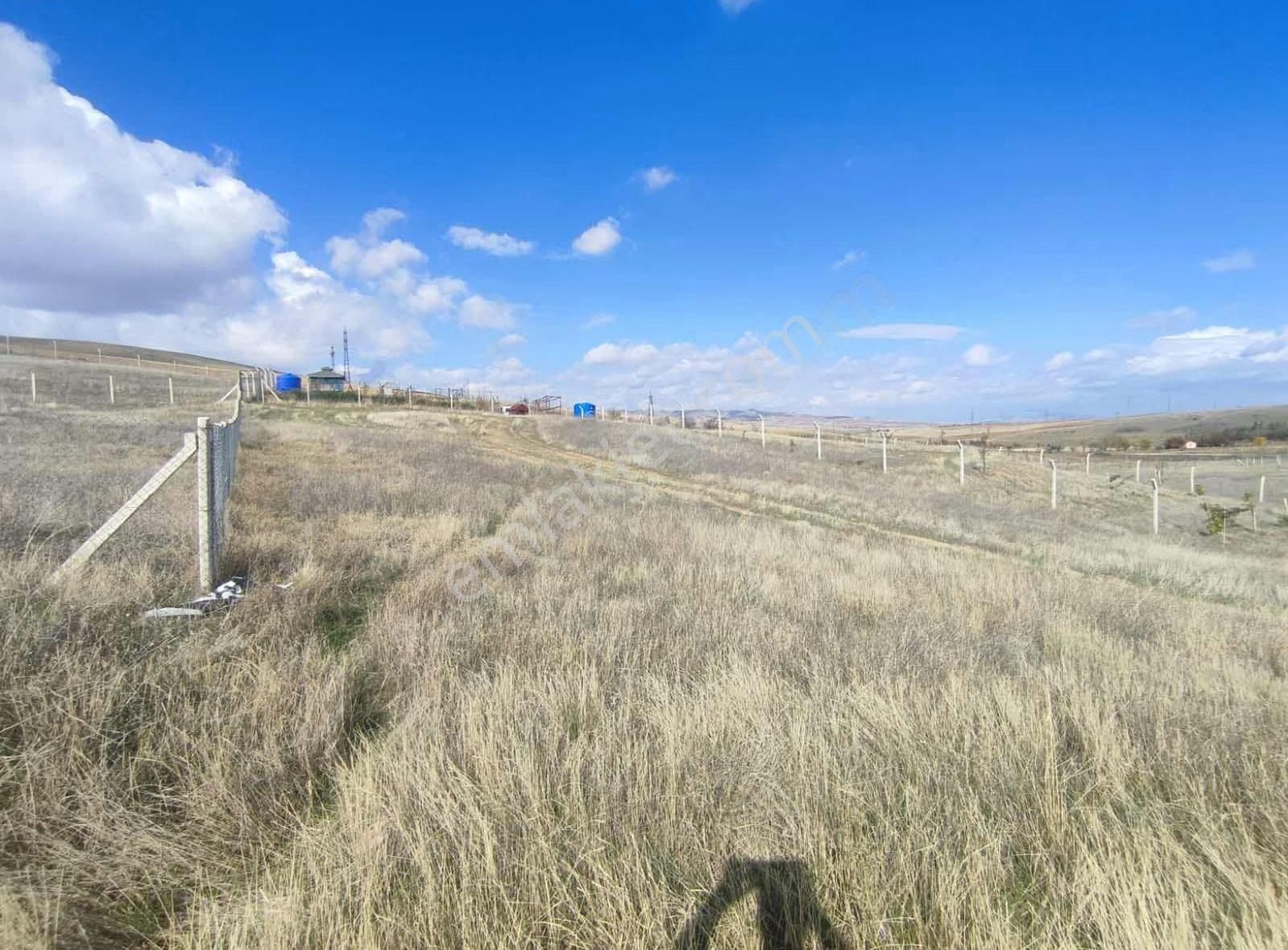 Ankara Polatlı Kuşçu Mevkii Kök Tapu Satılık Villa Arsası - Görsel 8