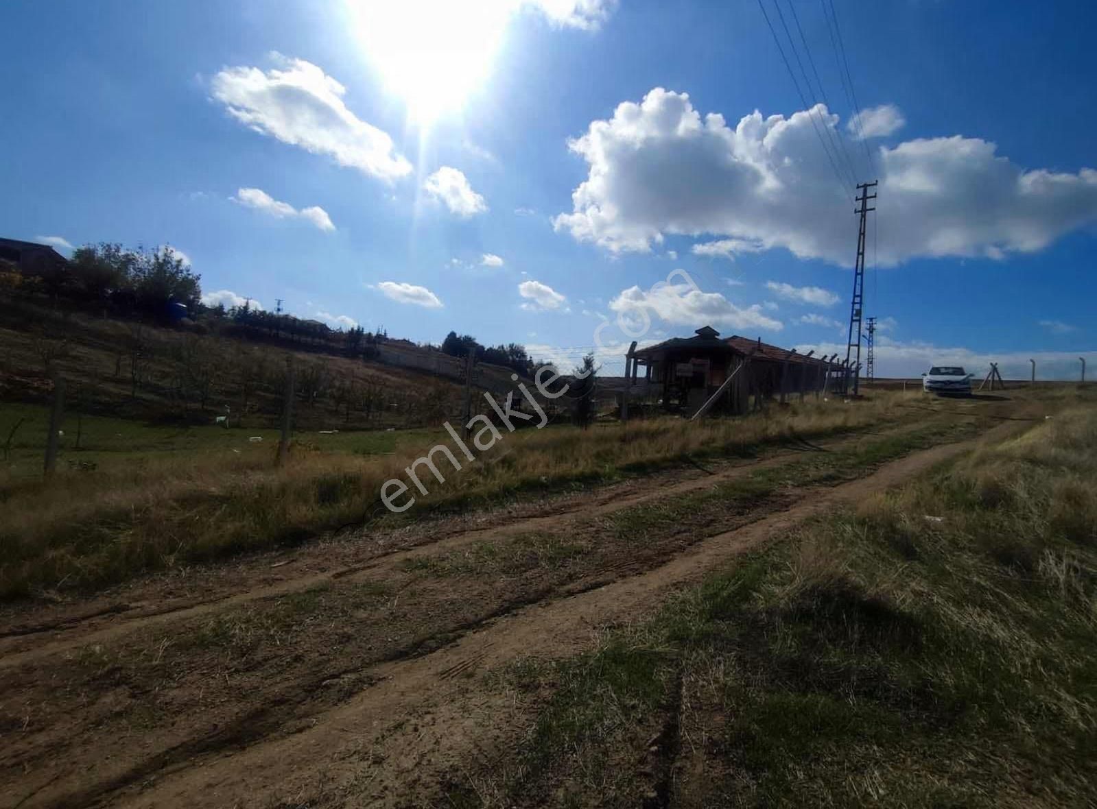 Ankara Polatlı Kuşçu Mevkii Kök Tapu Satılık Villa Arsası - Görsel 12