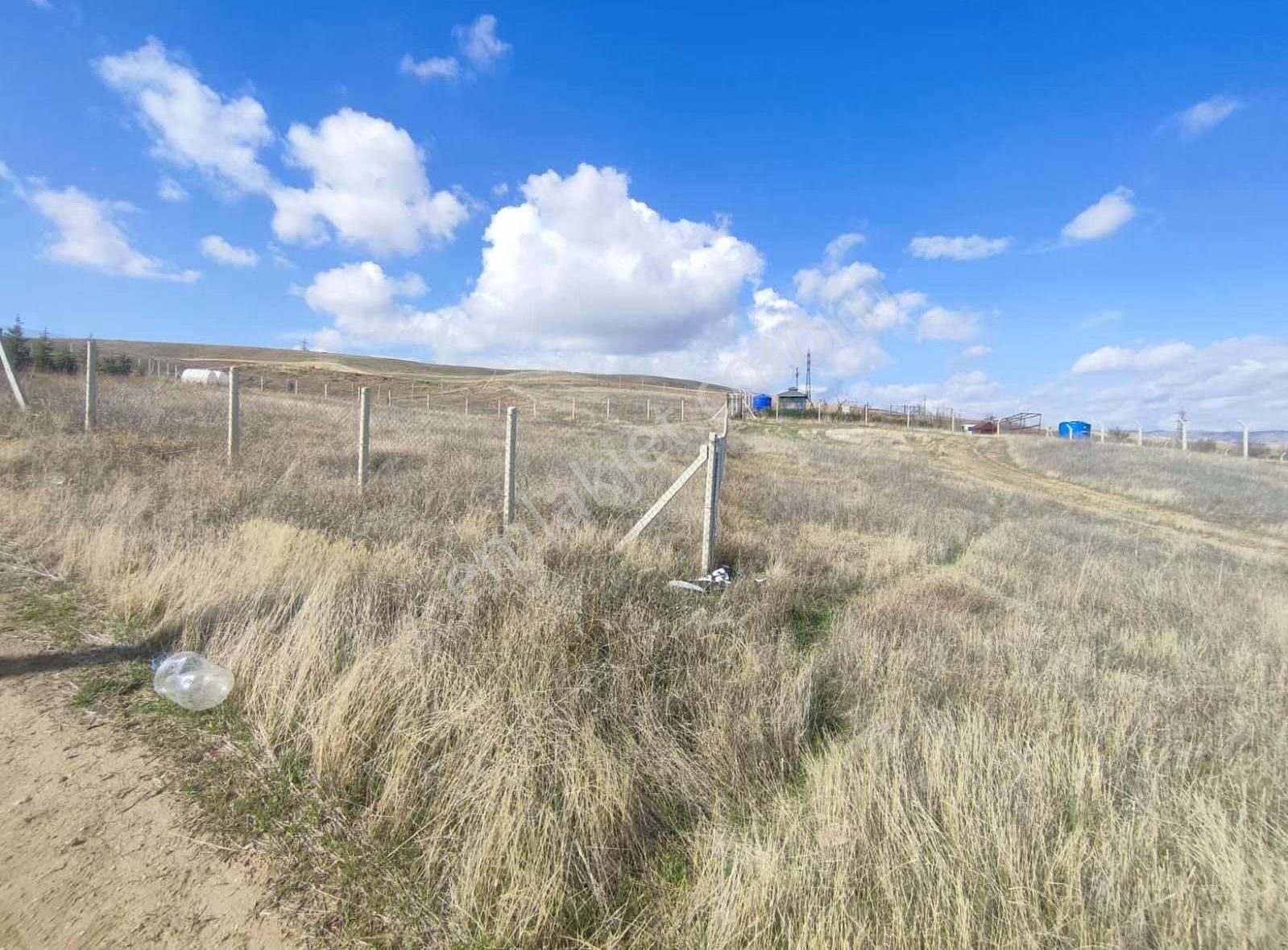 Ankara Polatlı Kuşçu Mevkii Kök Tapu Satılık Villa Arsası - Görsel 6