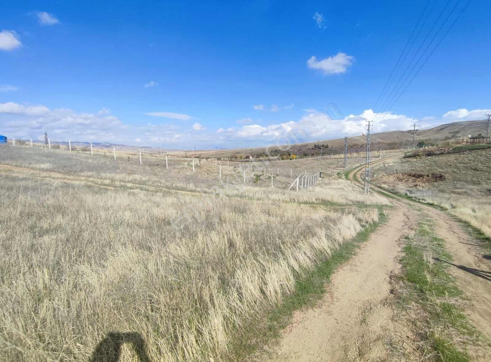 Ankara Polatlı Kuşçu Mevkii Kök Tapu Satılık Villa Arsası - Görsel 3