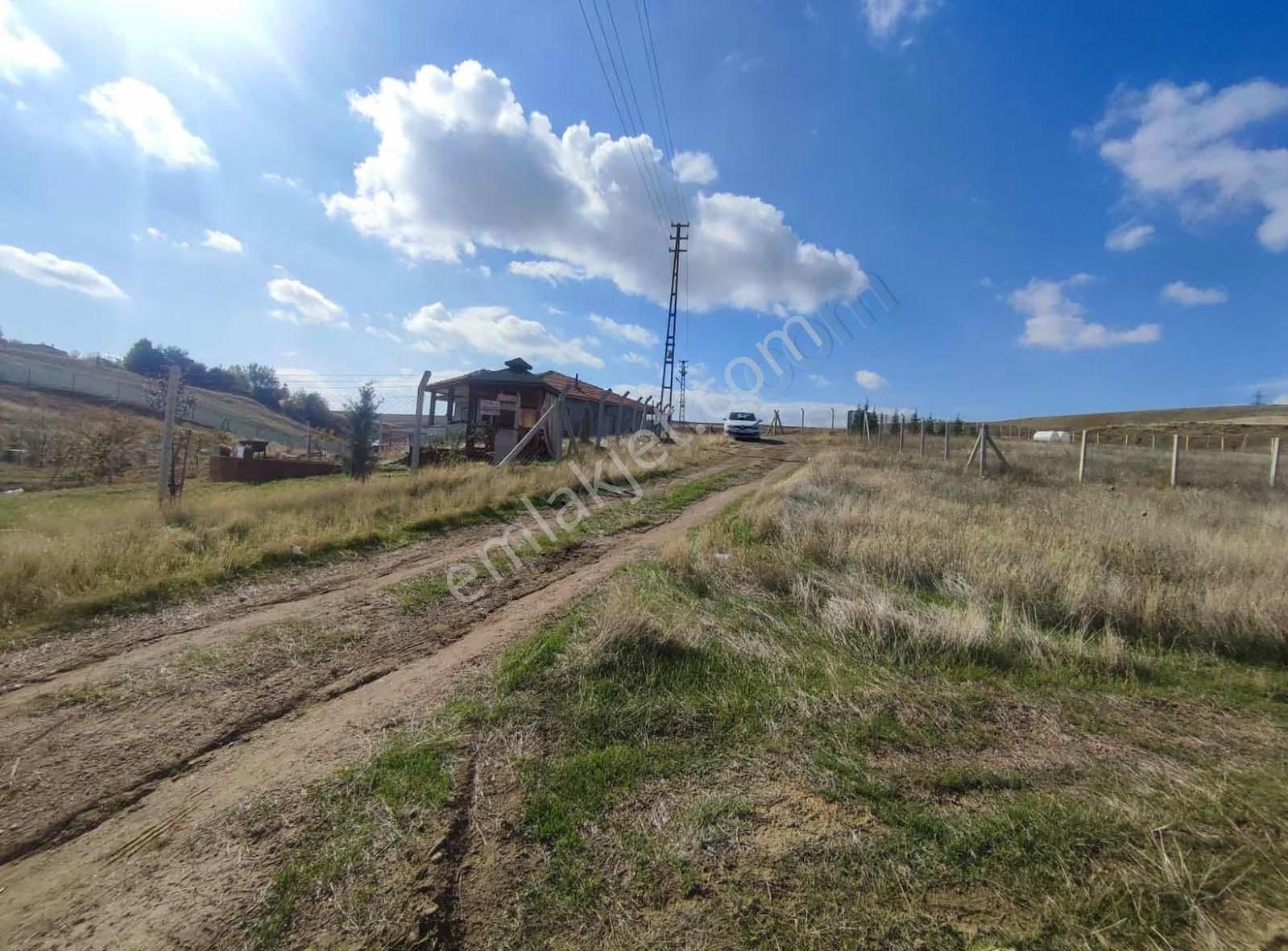 Ankara Polatlı Kuşçu Mevkii Kök Tapu Satılık Villa Arsası - Görsel 9