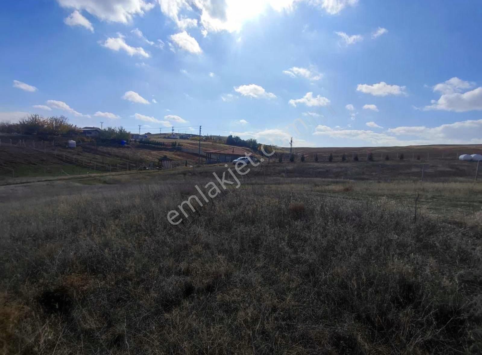 Ankara Polatlı Kuşçu Mevkii Kök Tapu Satılık Villa Arsası - Görsel 2