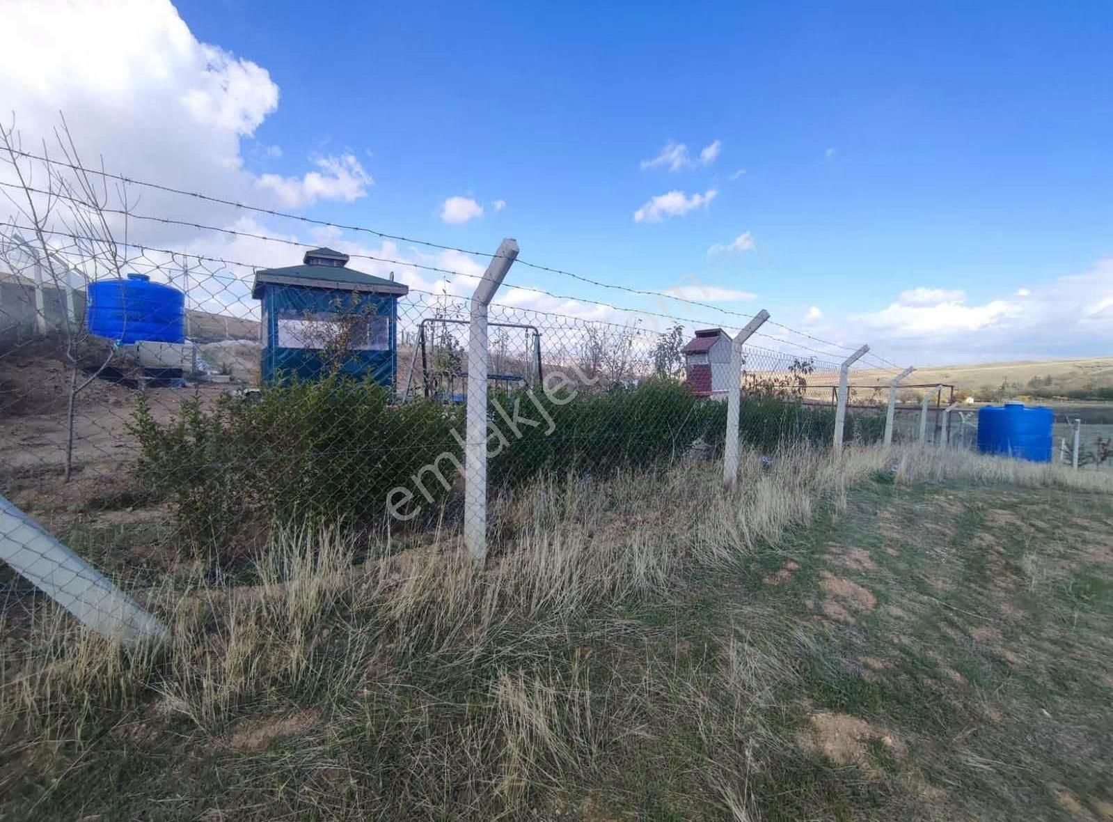 Ankara Polatlı Kuşçu Mevkii Kök Tapu Satılık Villa Arsası - Görsel 5