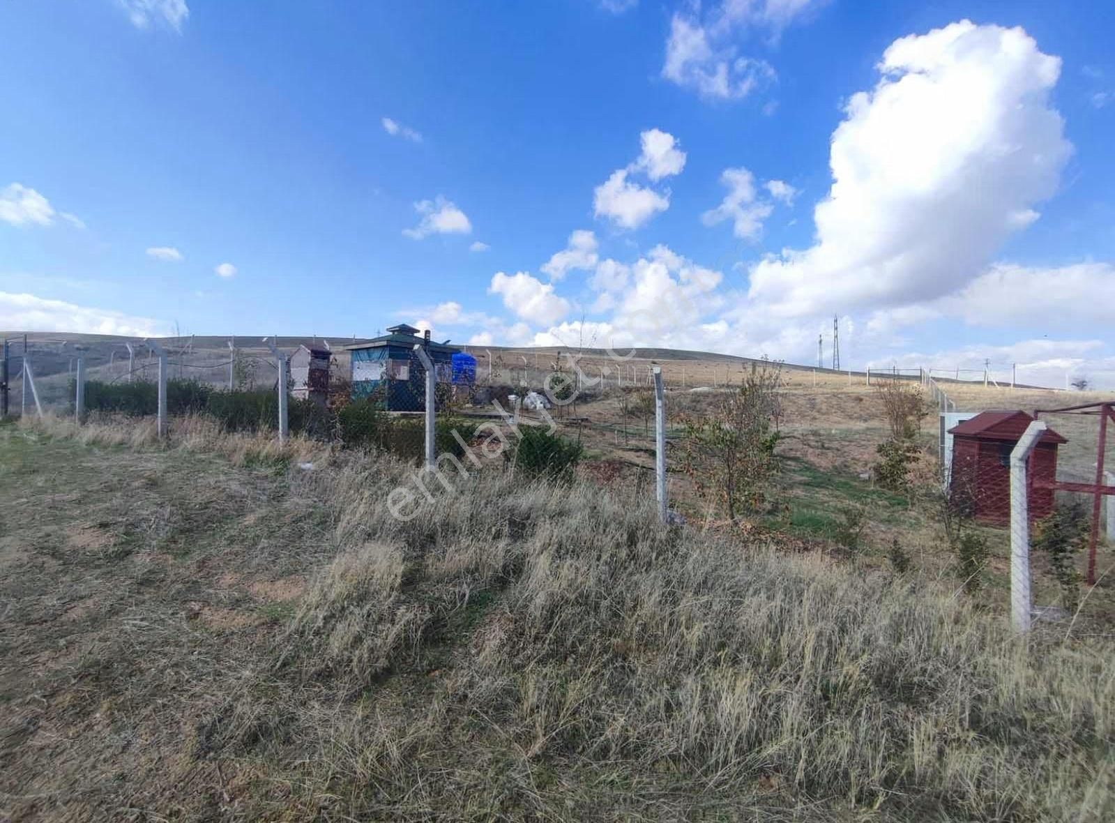 Ankara Polatlı Kuşçu Mevkii Kök Tapu Satılık Villa Arsası - Görsel 11