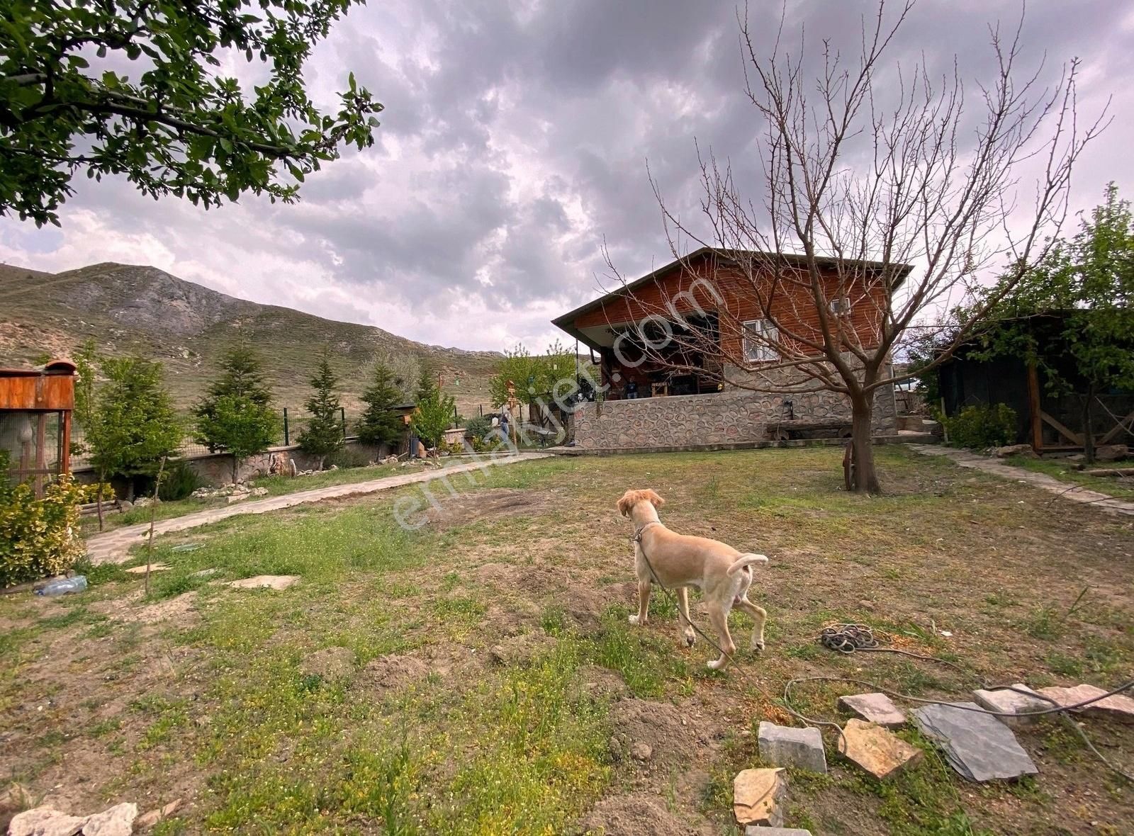 Ayaş Sinanlı 564 M2 Arsa Üzerine İskanlı Müstakil Ev - Görsel 7