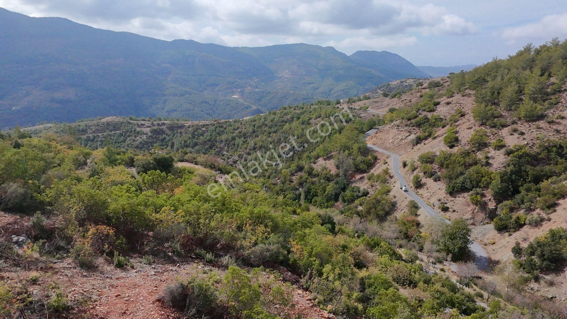 Üçkonak'ta 6 Dönüm Üzeri Yatırımlık Tarla Fırsatı - Görsel 7