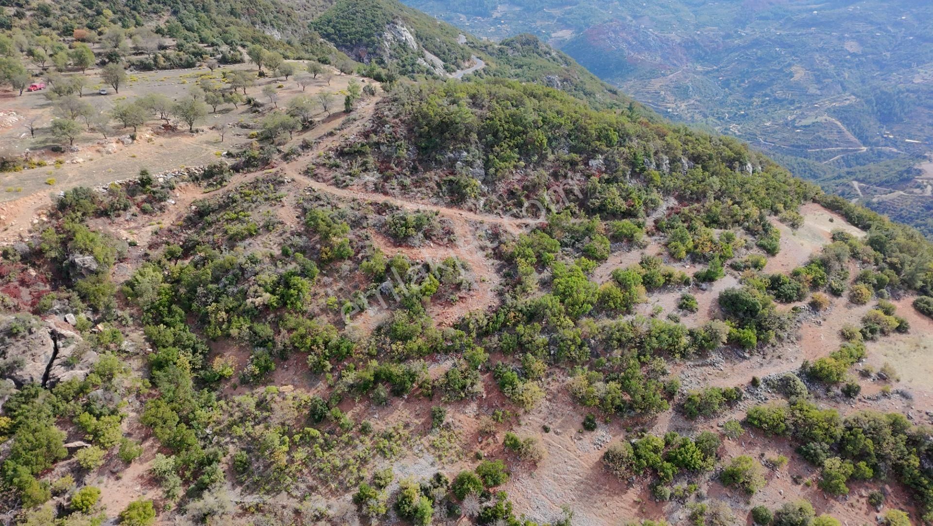 Üçkonak'ta 6 Dönüm Üzeri Yatırımlık Tarla Fırsatı - Görsel 3