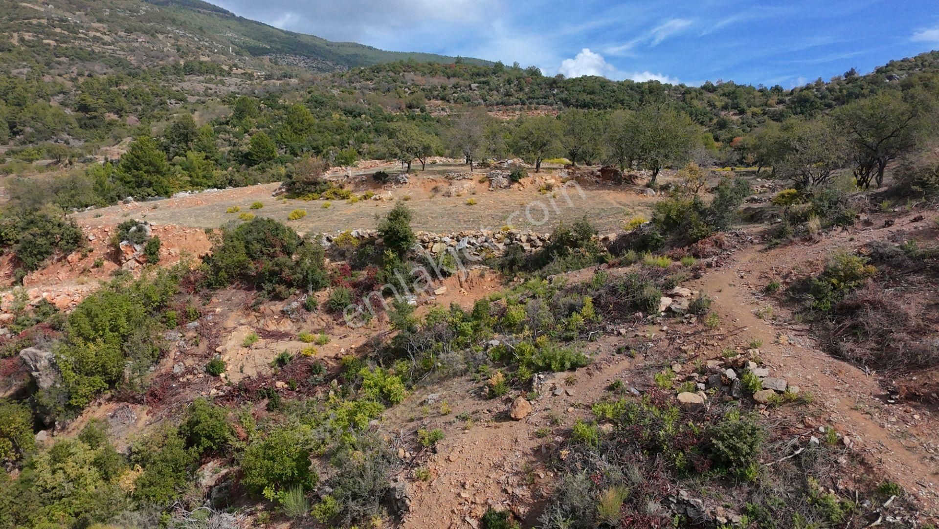Üçkonak'ta 6 Dönüm Üzeri Yatırımlık Tarla Fırsatı - Görsel 5
