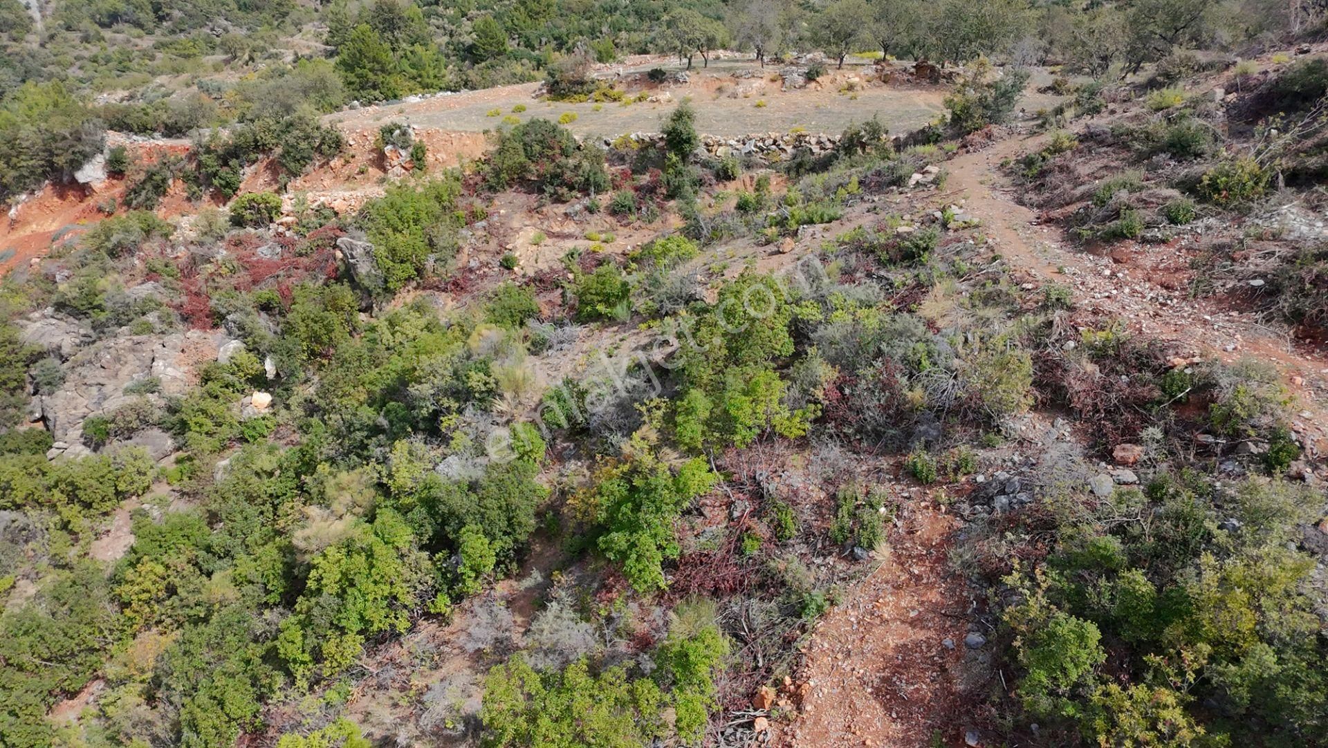 Üçkonak'ta 6 Dönüm Üzeri Yatırımlık Tarla Fırsatı - Görsel 4
