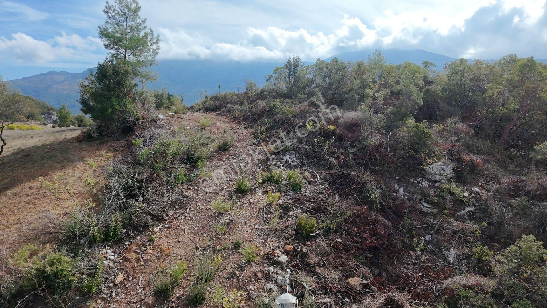 Üçkonak'ta 6 Dönüm Üzeri Yatırımlık Tarla Fırsatı - Görsel 9