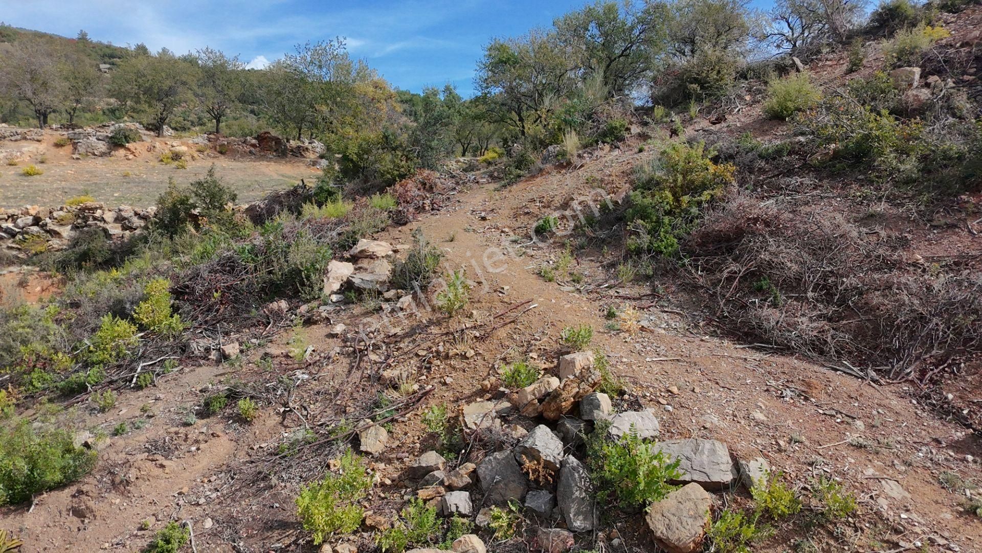 Üçkonak'ta 6 Dönüm Üzeri Yatırımlık Tarla Fırsatı - Görsel 8