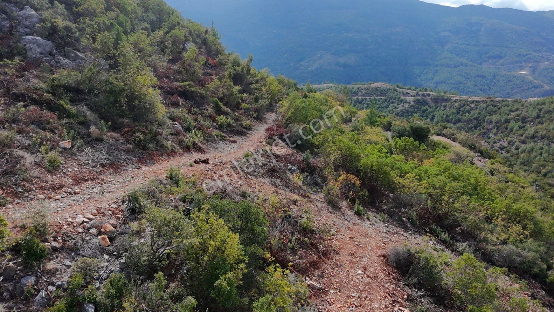 Üçkonak'ta 6 Dönüm Üzeri Yatırımlık Tarla Fırsatı - Görsel 6