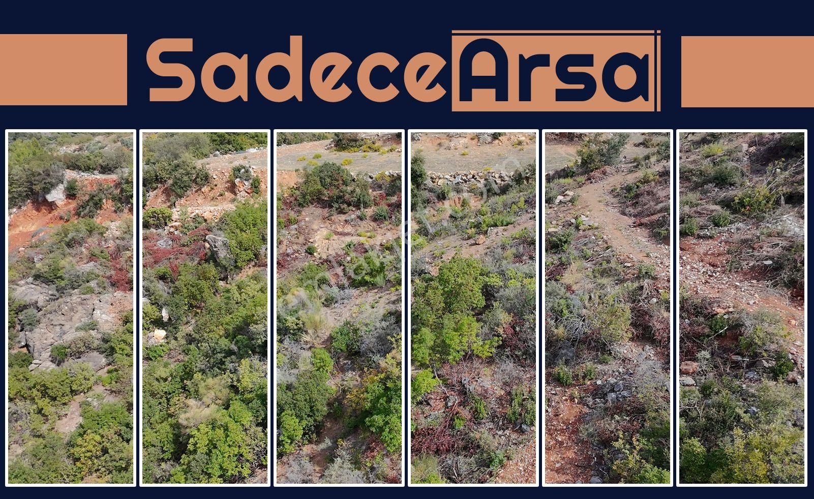 Üçkonak'ta 6 Dönüm Üzeri Yatırımlık Tarla Fırsatı