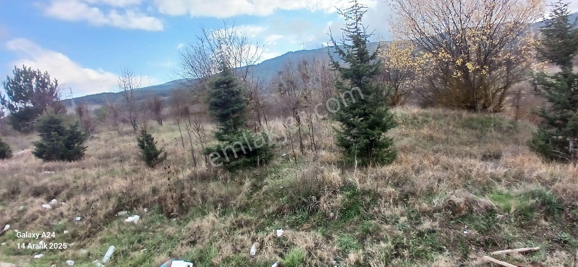Bilecik Bozüyük Bursa Ankara Otobanına Cepheli 2 Tarla - Görsel 14