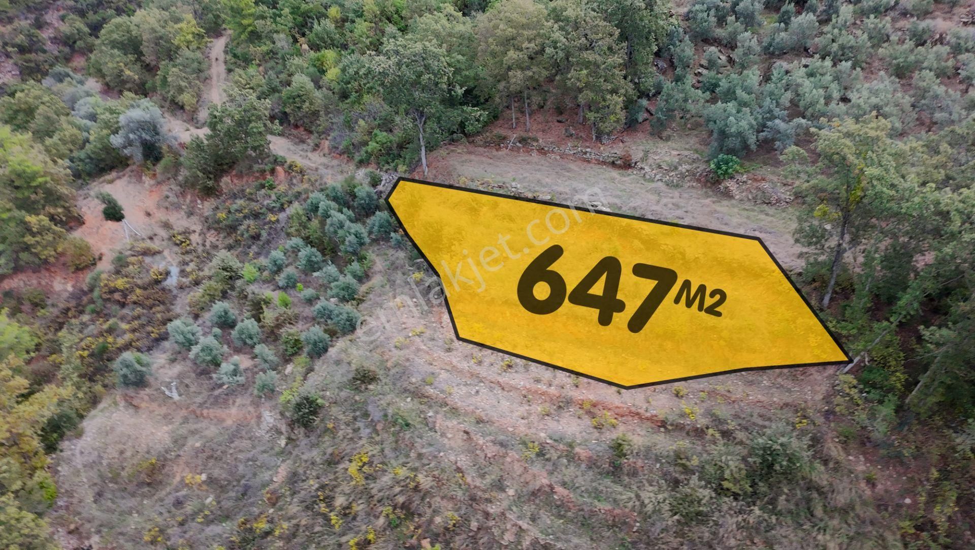 Zeytinada’da Emsallerinin Altında Yatırımlık Hobi Bahçesi - Görsel 2