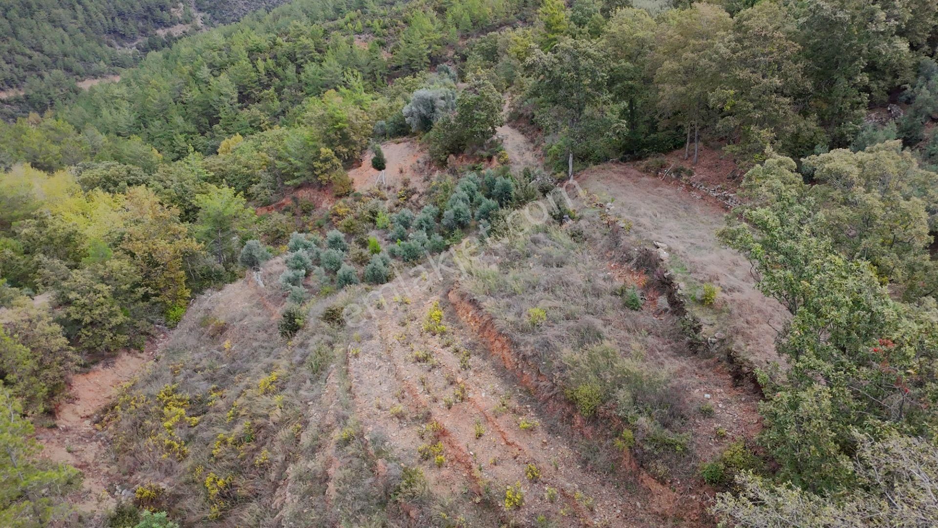 Zeytinada’da Emsallerinin Altında Yatırımlık Hobi Bahçesi - Görsel 7