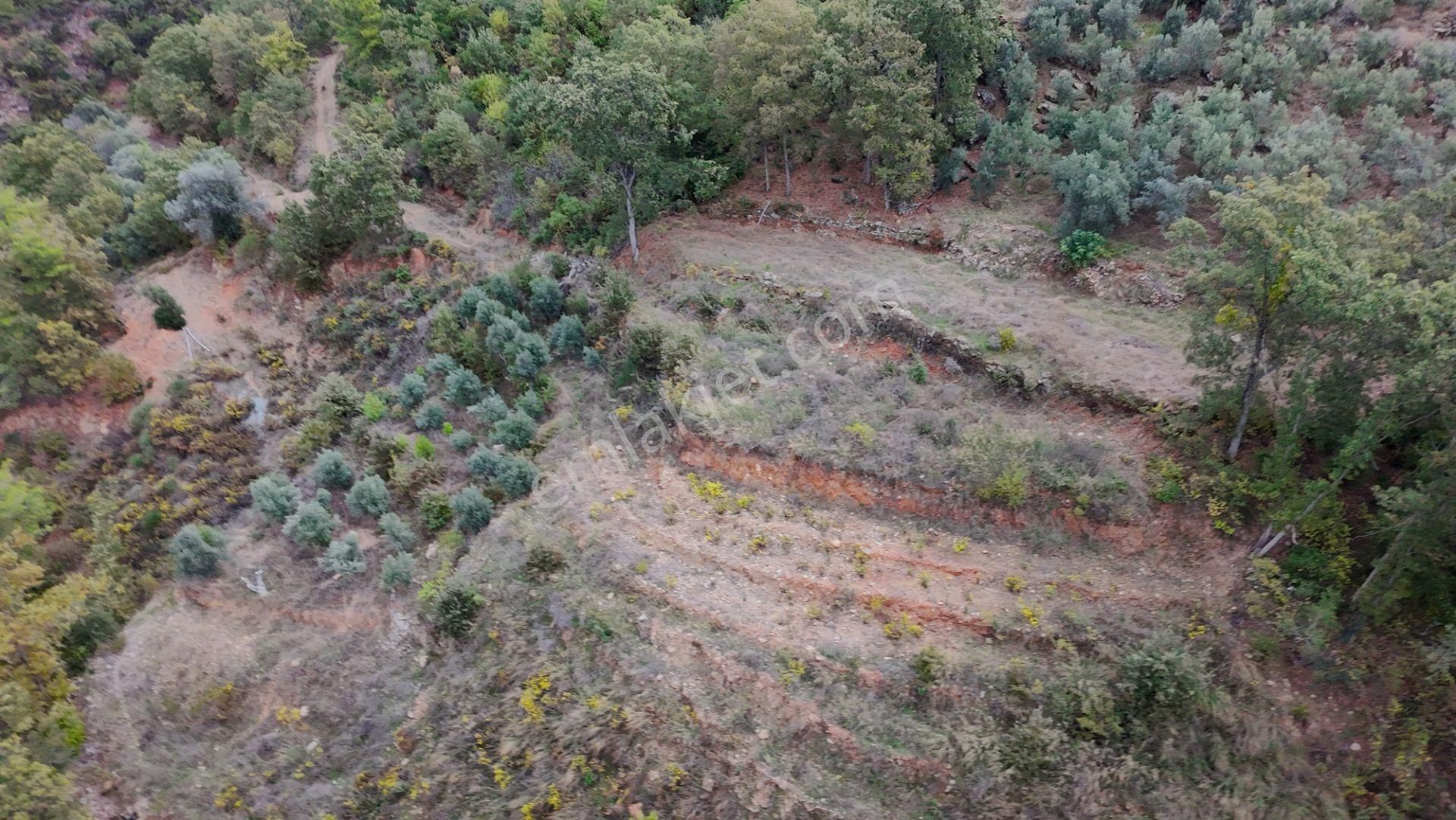 Zeytinada’da Emsallerinin Altında Yatırımlık Hobi Bahçesi - Görsel 3