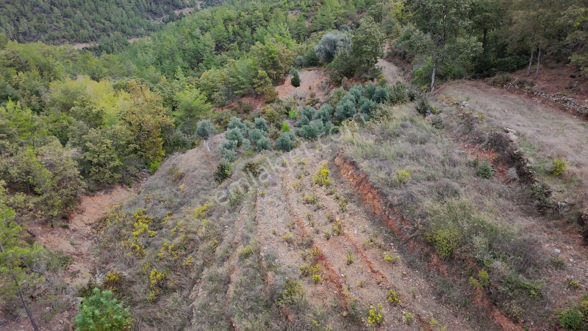 Zeytinada’da Emsallerinin Altında Yatırımlık Hobi Bahçesi - Görsel 6