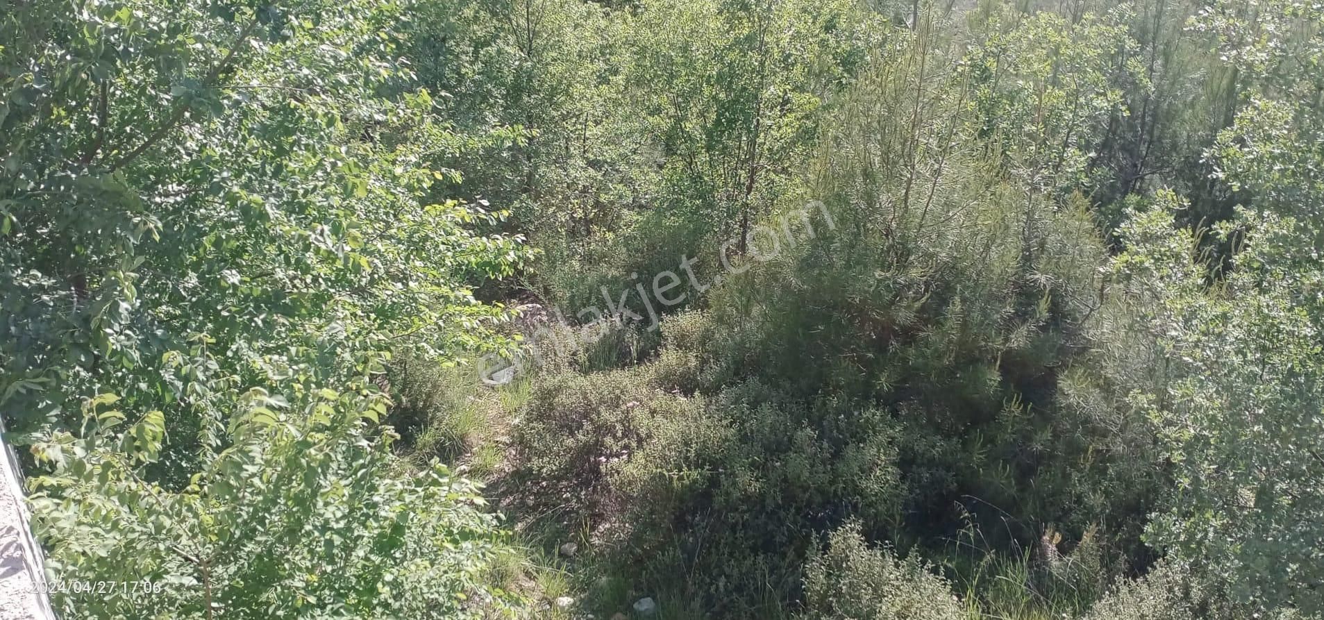 Muğla Kavaklıdere Çayboyunda Satılık 909m2 Arsa - Görsel 10
