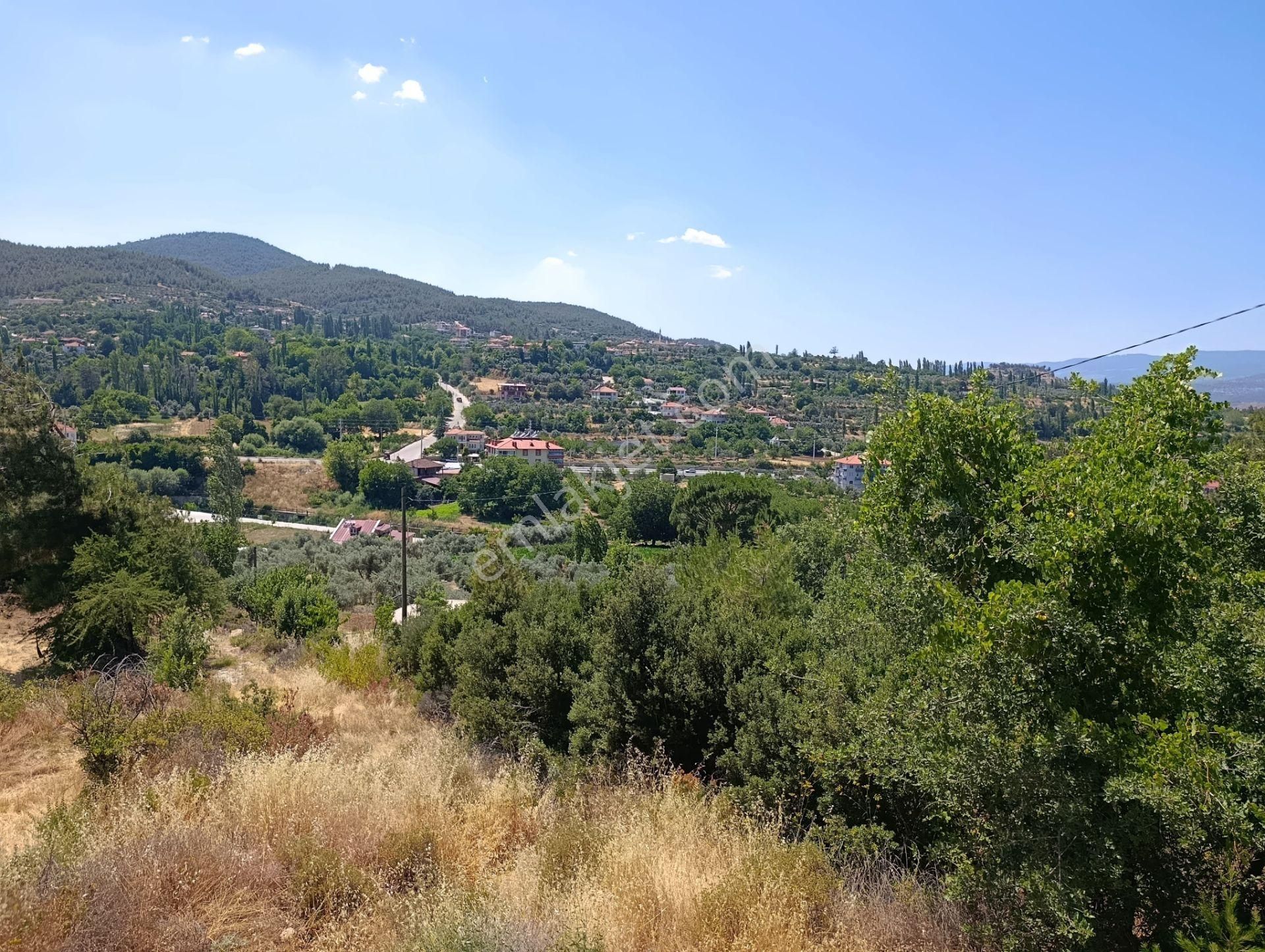 Muğla Kavaklıdere Çayboyunda Satılık 909m2 Arsa - Görsel 6