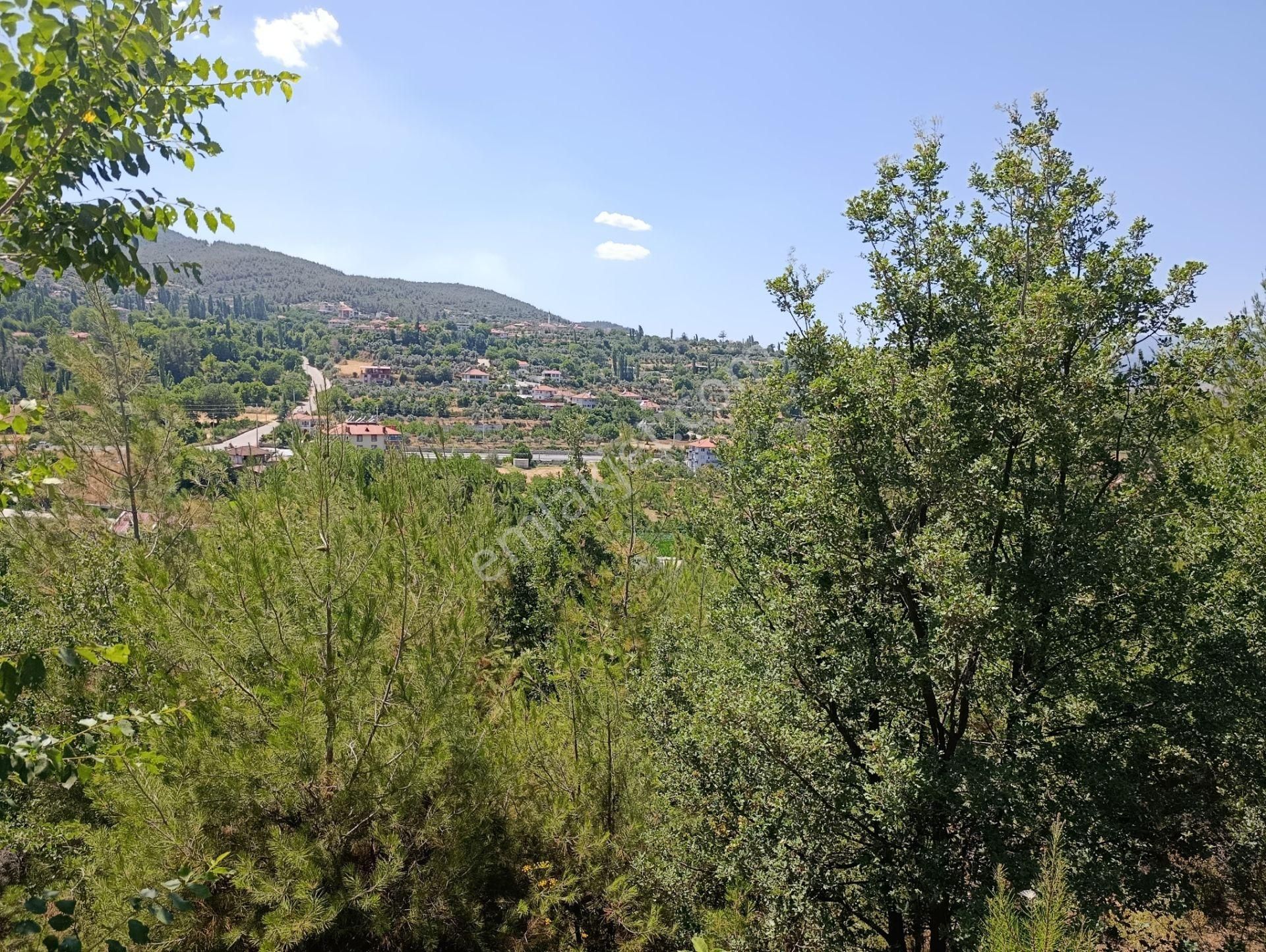 Muğla Kavaklıdere Çayboyunda Satılık 909m2 Arsa - Görsel 21