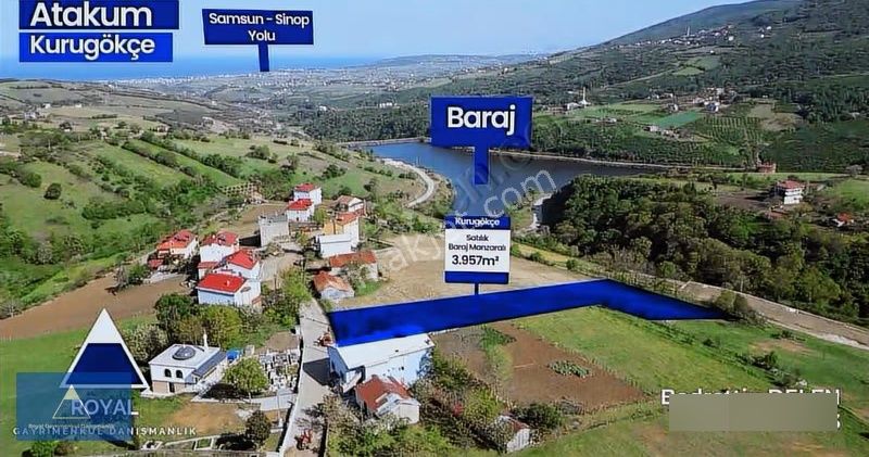 4000 M2 Yerleşik Alan İçerisinde Muhteşem Tarla - Görsel 2