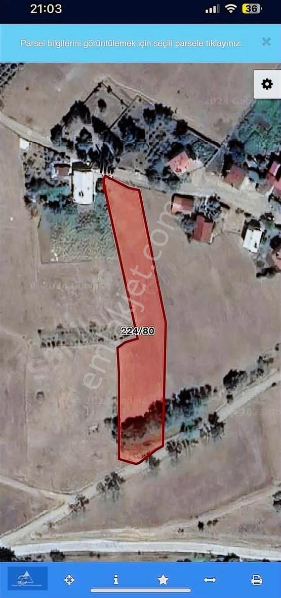 4000 M2 Yerleşik Alan İçerisinde Muhteşem Tarla - Görsel 5