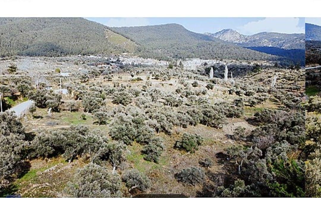 Satılık Zeytinlik Torbalı Karaot Mahallesinde - Görsel 10