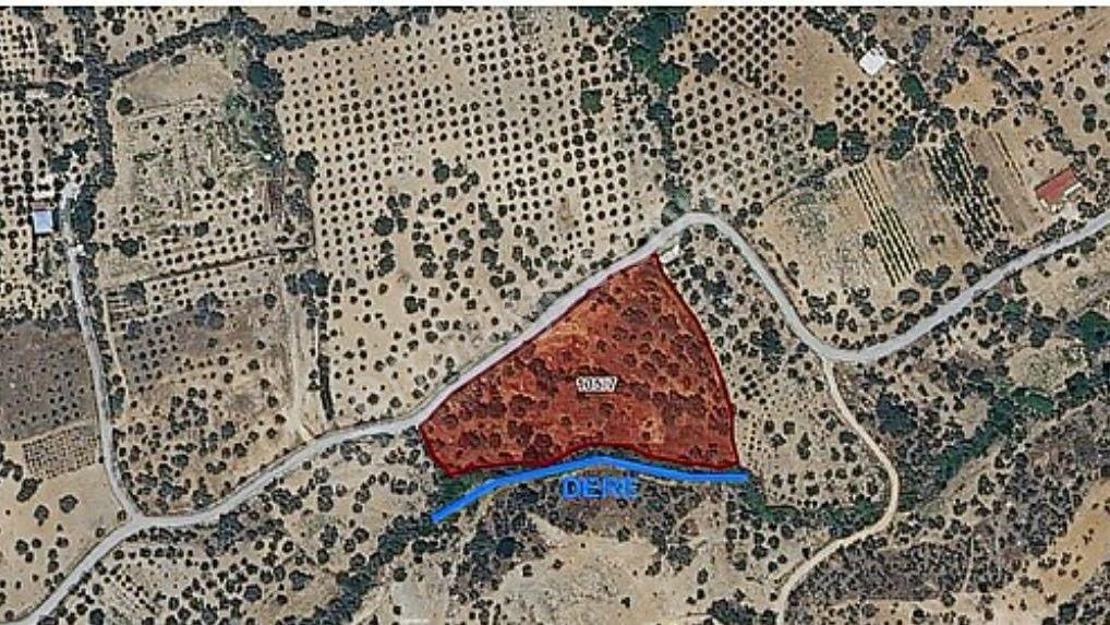 Satılık Zeytinlik Torbalı Karaot Mahallesinde - Görsel 9