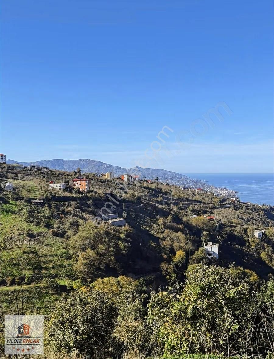 Yıldız Gayrimenkulden Söğütlü Esentepe De Satlık Arsalar - Görsel 3