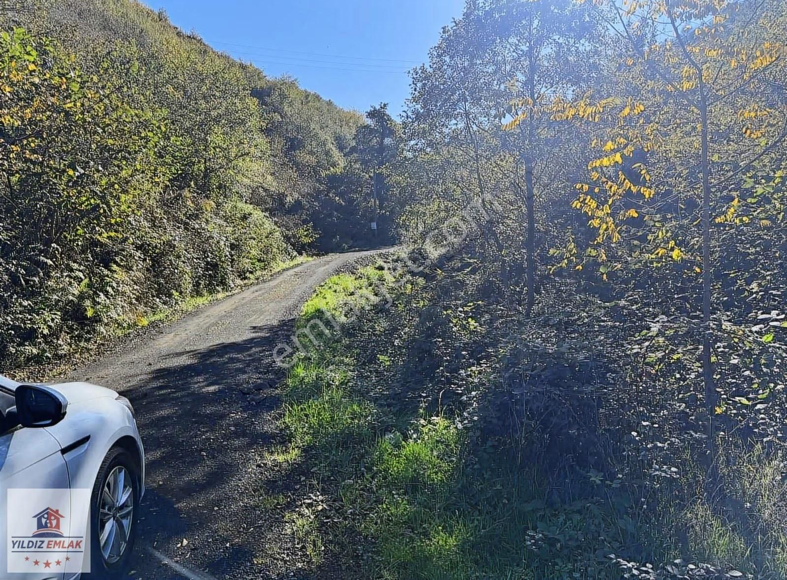 Yıldız Gayrimenkulden Söğütlü Esentepe De Satlık Arsalar - Görsel 13