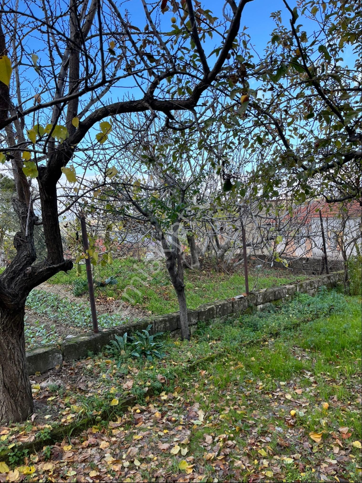 Kozak Çelebi Emlak Tan Ayvalık A 30 Km Mesafede Manzaralı Taş Ev - Görsel 27