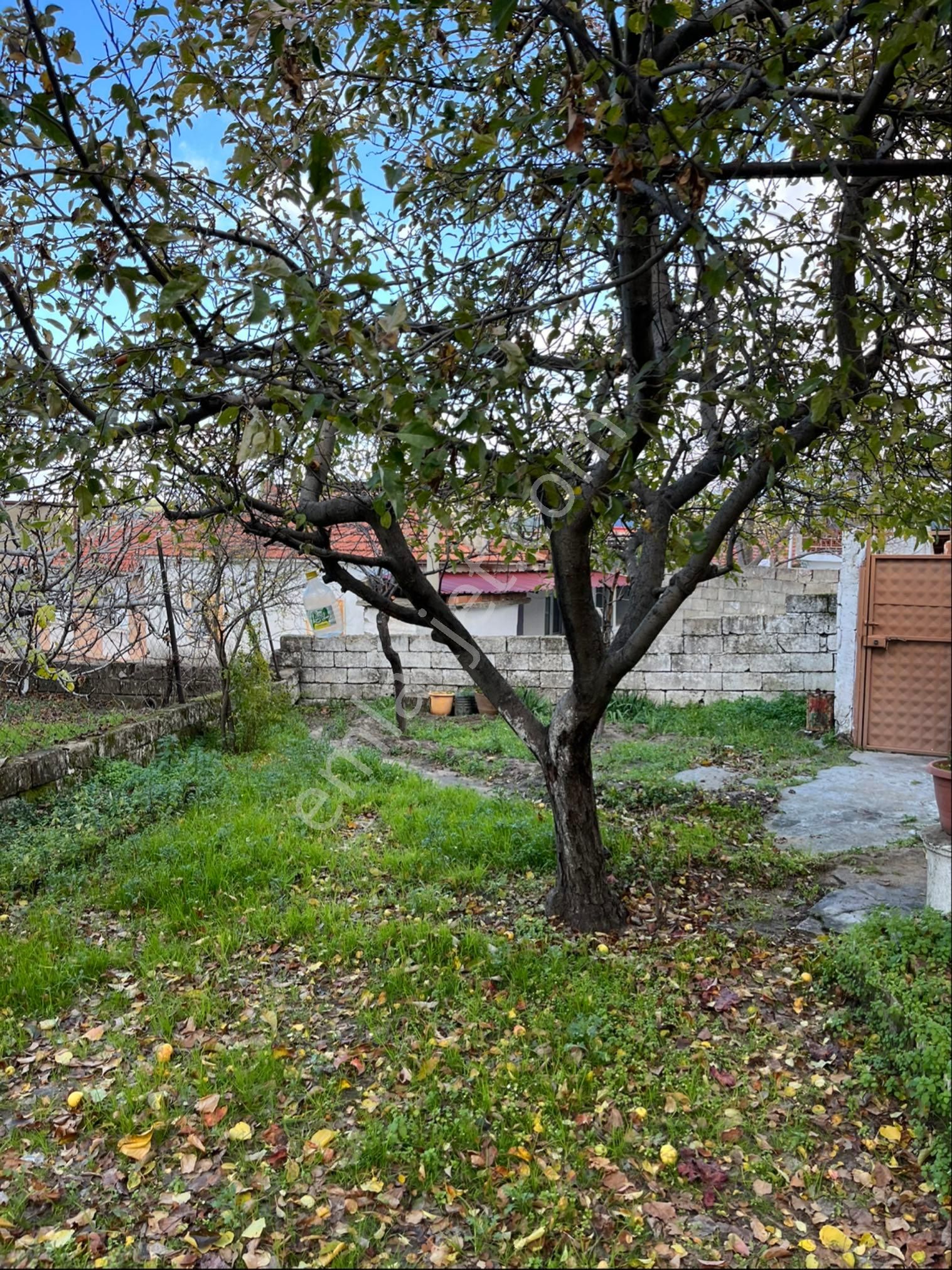 Kozak Çelebi Emlak Tan Ayvalık A 30 Km Mesafede Manzaralı Taş Ev - Görsel 28