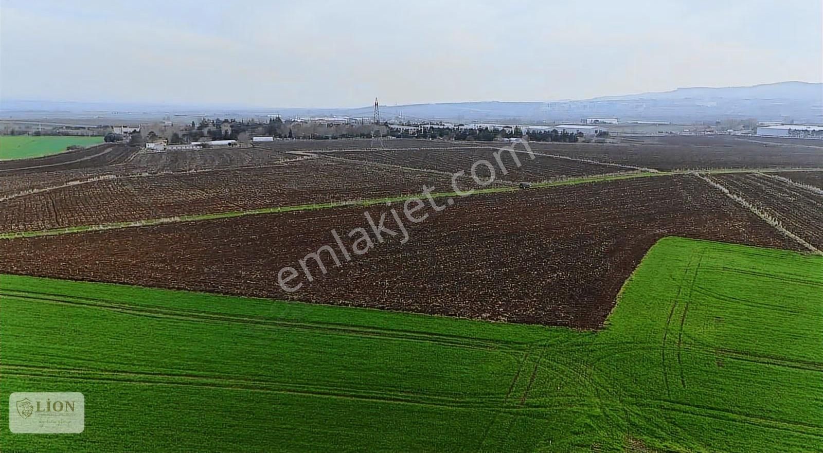 Çatalcada Kuzey Marmara Dibinde 5.200 M² Tarla - Görsel 11