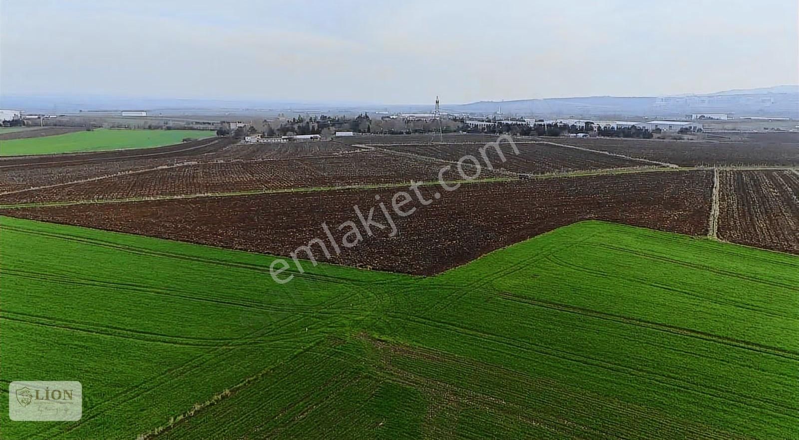 Çatalcada Kuzey Marmara Dibinde 5.200 M² Tarla - Görsel 8