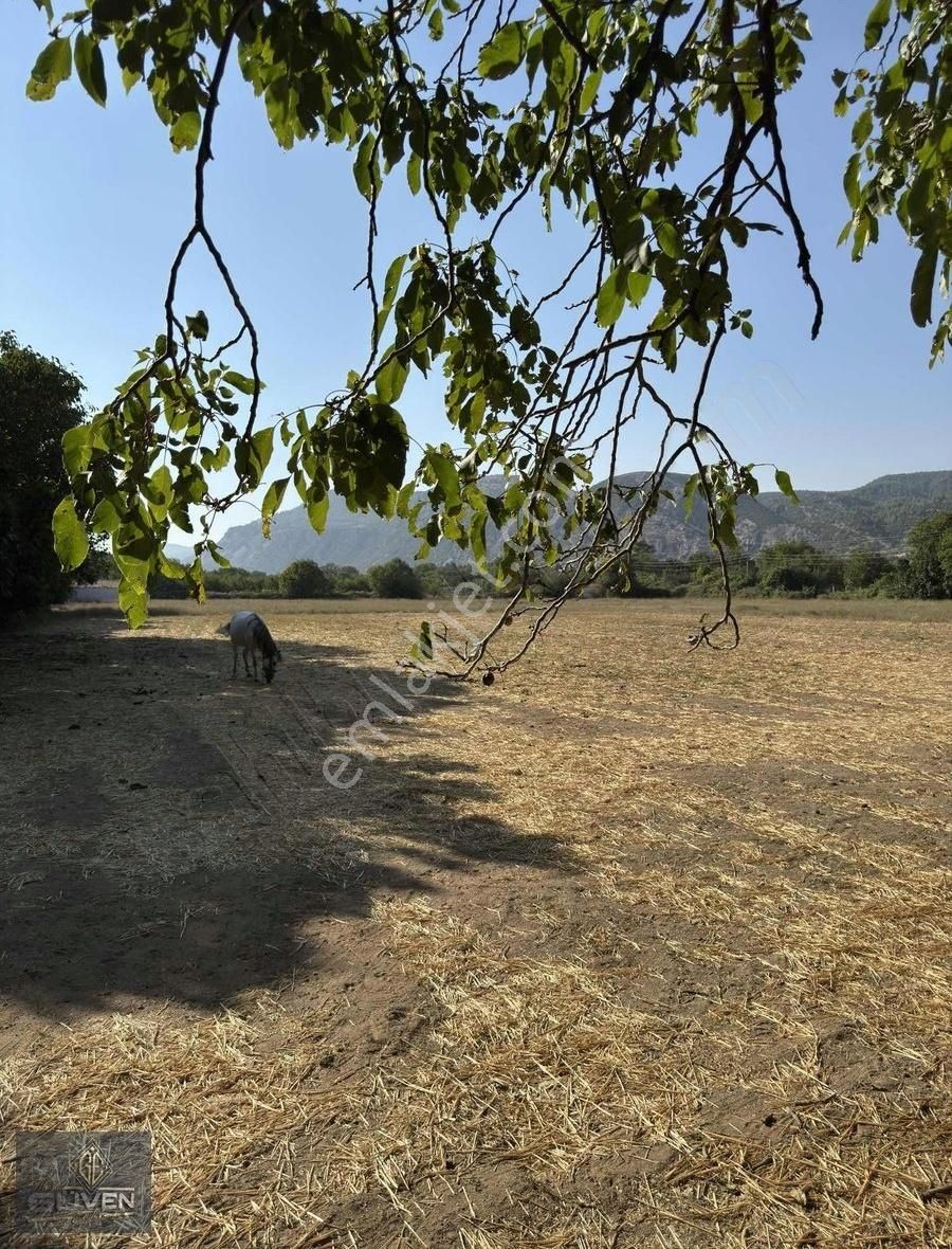 Muğla Menteşe Düğerek Mah 3.559 M2 Bitişik İki Arazi - Görsel 3