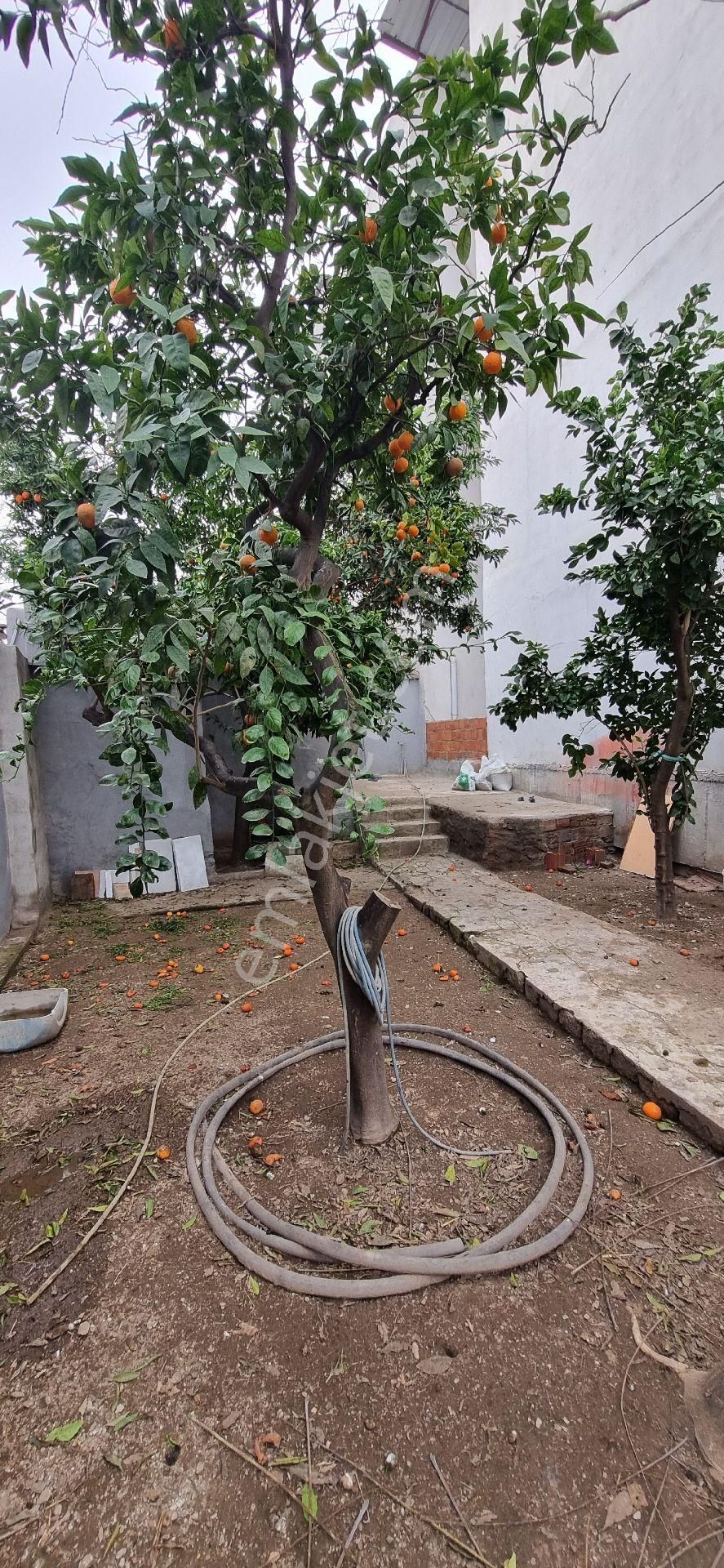 Aydın Nazilli Yöntem Emlaktan Yenipazar Hükümet Mahallesinde Satılık 2+1 Müstakil Ev - Görsel 18