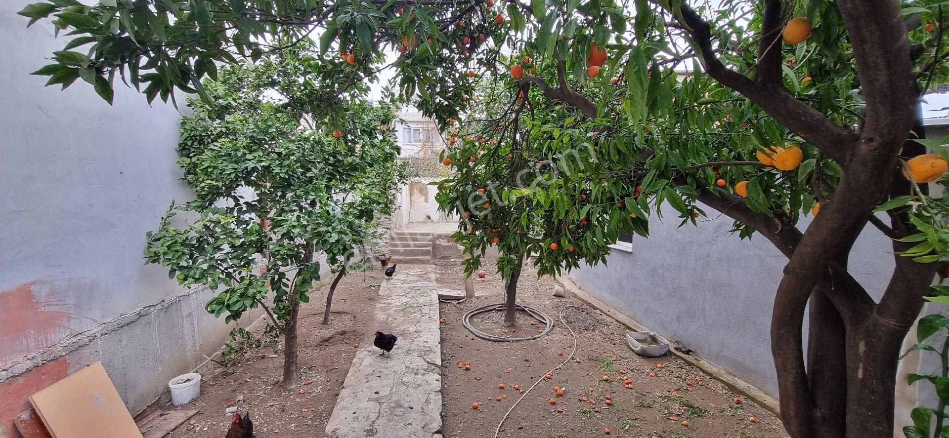 Aydın Nazilli Yöntem Emlaktan Yenipazar Hükümet Mahallesinde Satılık 2+1 Müstakil Ev - Görsel 21