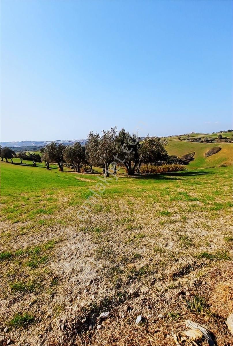 Kabasakalda Satılık Villa İmarlı Arsa - Görsel 11