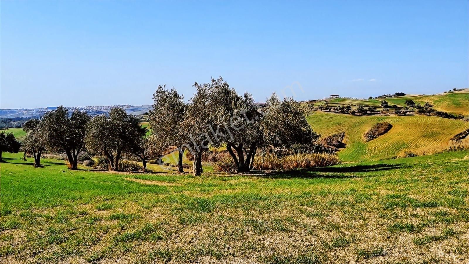Kabasakalda Satılık Villa İmarlı Arsa - Görsel 5