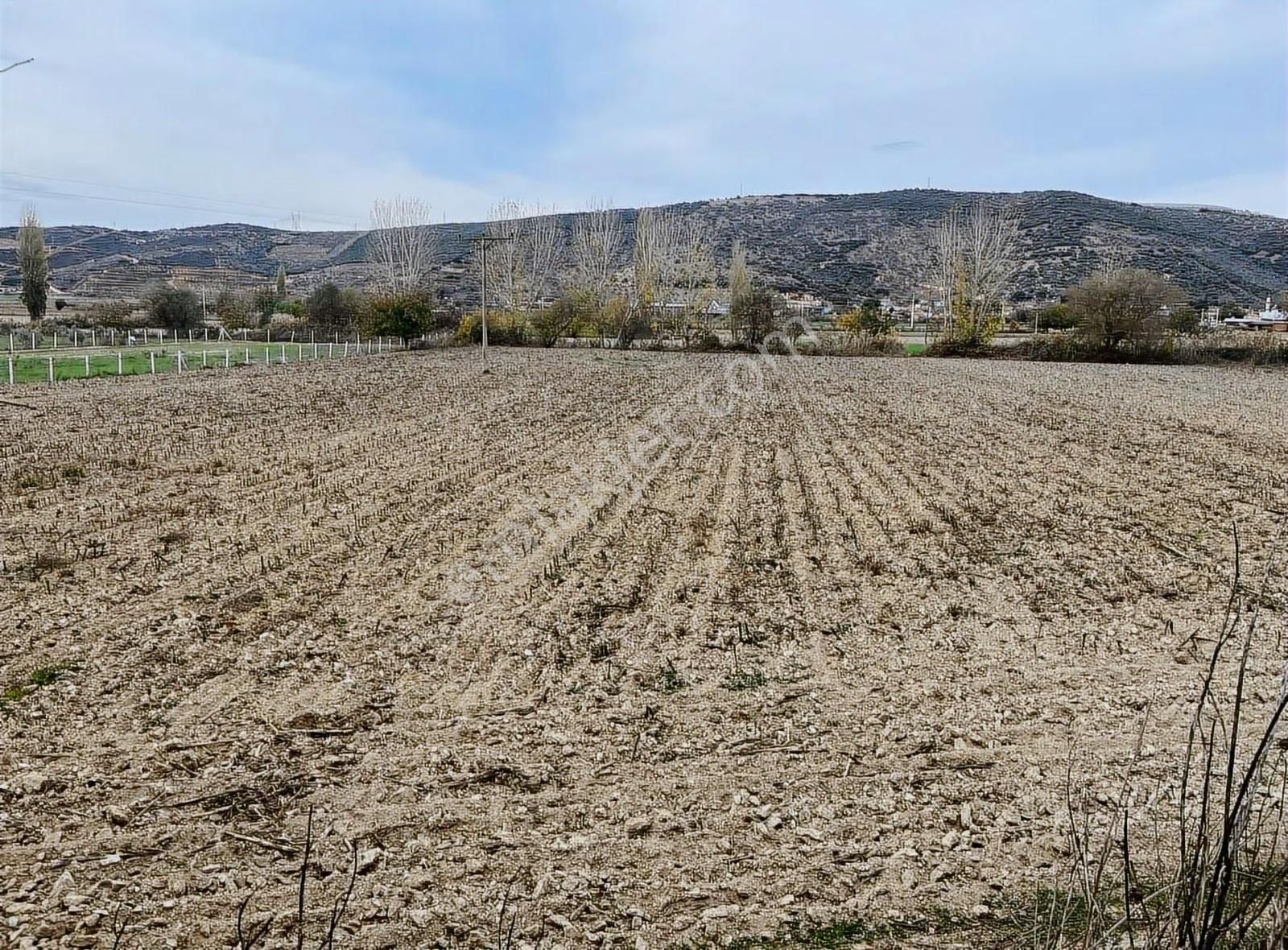 Pek Emlaktan Tire Kurşakta 13,300 M2 Satılık 3 Tapulu Tarla